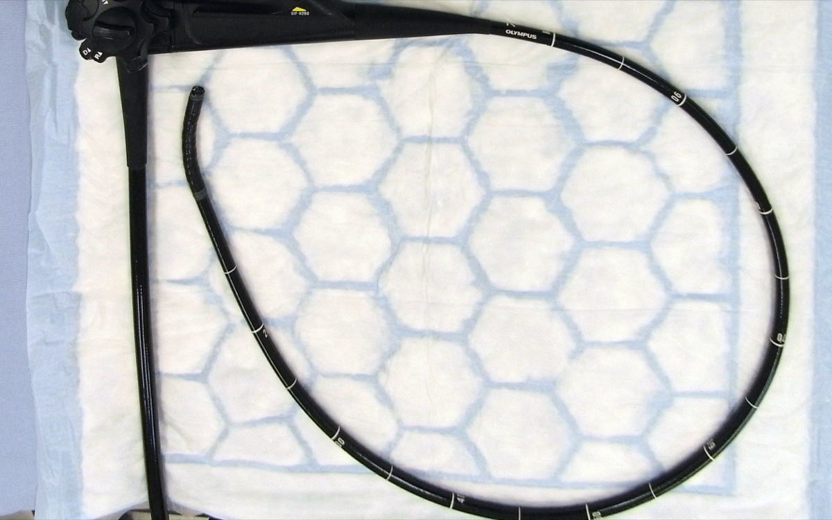 Flexible Endoscopes
