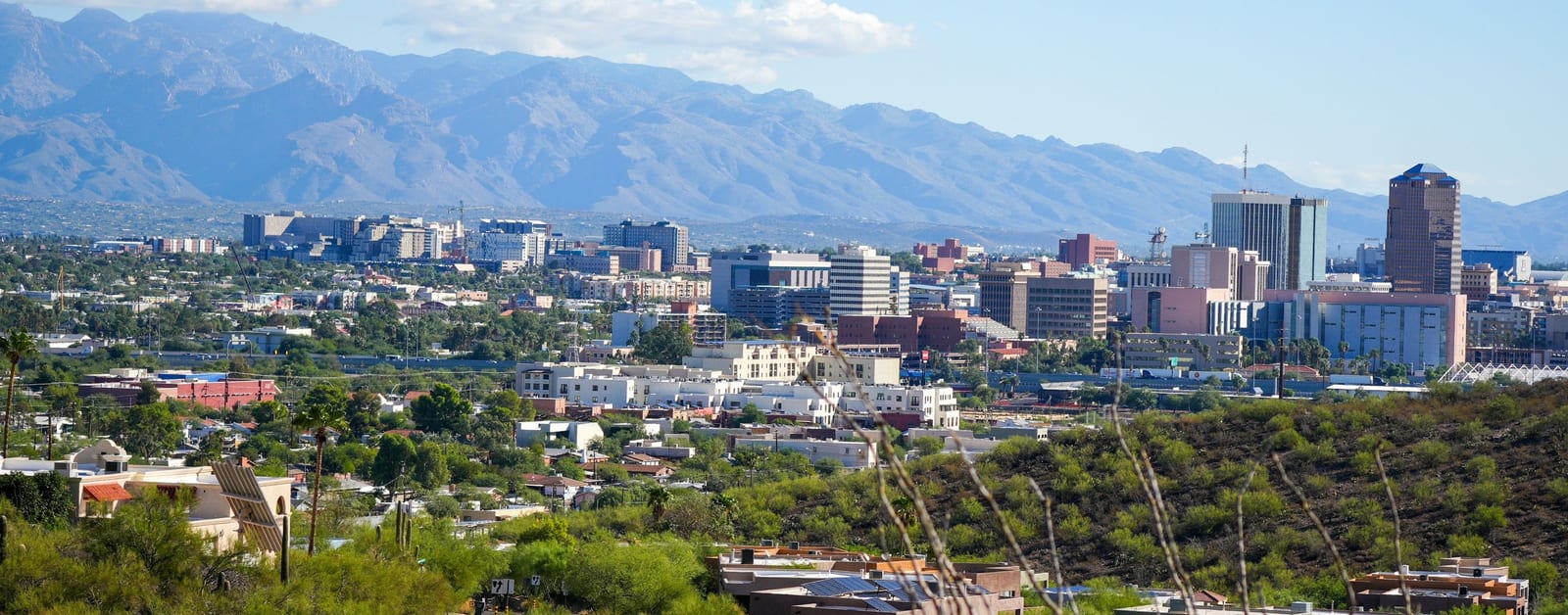 Downtown Tucson skyline from a desert hillside, Santa Catalina Mountains behind