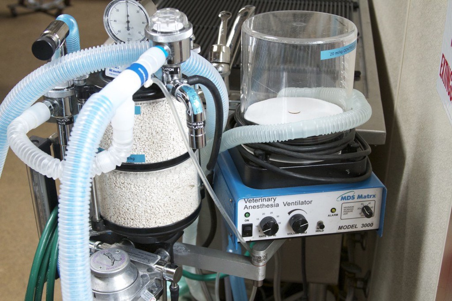 Anesthesia & Respiratory